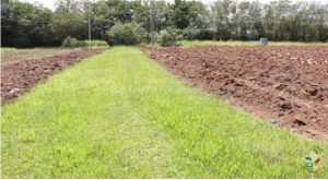 Preparar uma área para pastagem? Antes, um conselho…