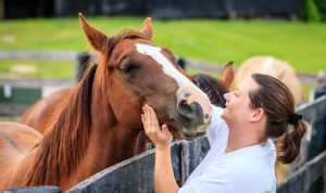 Quatro maneiras de saber que você está pronto para ter um cavalo