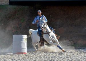 ANCAF vem destacando a aptidão do Árabe para os esportes equestres