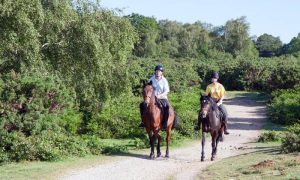 Como fazer uma desmontagem de emergência