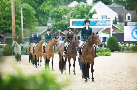 Cuidados que você deve ter ao levar seu cavalo para um evento