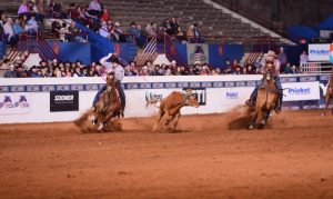 Erich Rogers escolheu novo parceiro para a temporada 2019