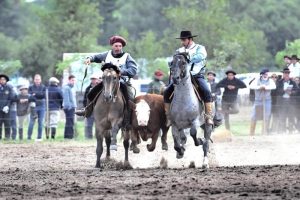 Freio de Ouro inicia jornada para 2019 em território argentino