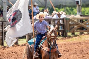 Segunda etapa da Liga Leste de Team Penning aconteceu em Holambra