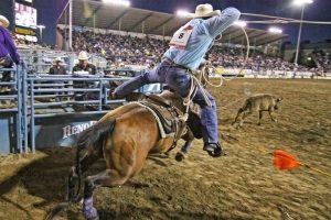 Nasceu o Pro-Tie Down Roping