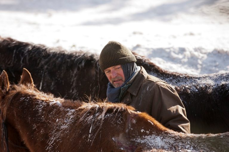 The Horses of Mcbride