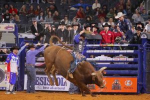 João Ricardo Vieira fala à PBR sobre o melhor começo de temporada