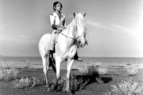 White Mane – O Cavalo Branco