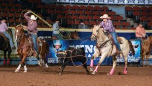 Kyla Stamps foi destaque do USTRC Cinch Ladies em 2018