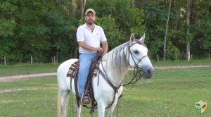 Reforço positivo usando guloseimas, sim ou não?