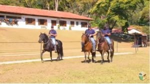 Cavalgue com rédeas soltas
