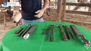 TV UC – Kit de ferramentas para o ferrador