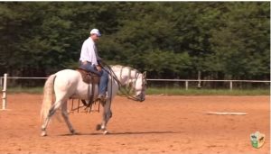 Transições trote/galope