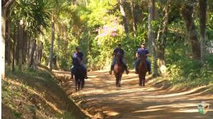 Aqueça o cavalo para a cavalgada