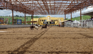 Campeonato Portal da Vaquejada realizou etapa em grande evento