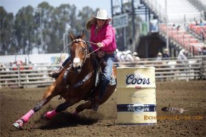 Cavalos de Três Tambores: como ferrar?