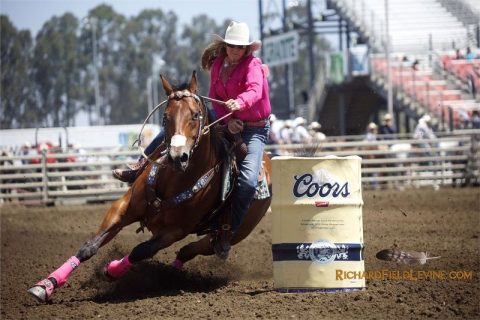 Cavalos de Três Tambores: como ferrar?