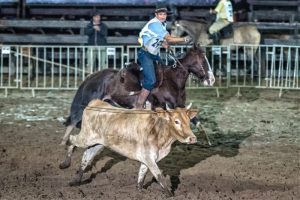 ABCCC do cavalo Crioulo promoveu final de ciclo no Crioulaço