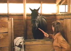 Dark Horse – Cavalo Indomável