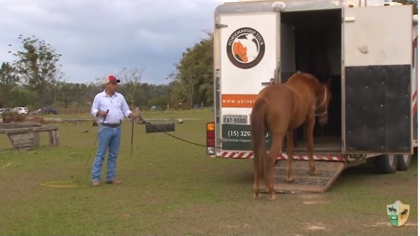 ENSINANDO meu CAVALO a PULAR a CERCA 