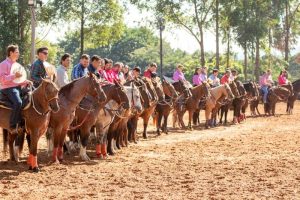 Liga Leste Paulista abre Oficializadas de Ranch Sorting e Team Penning