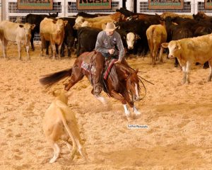 Três cavalos lideram o Super Stakes Classic Open de Apartação