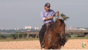 Observar a si mesmo! Afinal, o cavalo é o reflexo do cavaleiro!