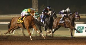 Remington Park deu início às corridas com cavalos da raça Paint