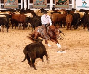 Revelados os campeões do The Cotton Stakes de Apartação