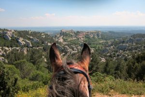 O Melhor da Provence!