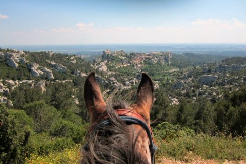 O Melhor da Provence!
