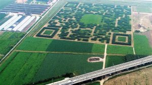 Agro: Anistia concedida pelo Código Florestal foi mantida pelo STF