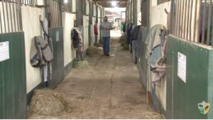 TV UC – Dar volumoso para o cavalo à noite