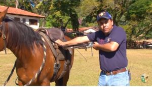 TV UC – A regulagem dos estribos