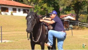 O cavalo precisa aprender a ficar parado na hora de montar