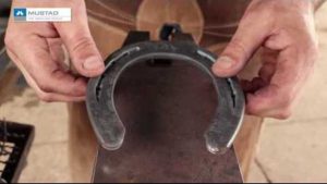 TV UC – Repregar ferradura, quem executa?