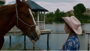 A Horse Story – Uma História de Amizade