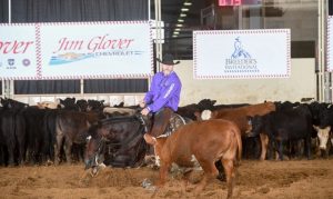 Breeders Invitational de Apartação finalizou edição em grande estilo