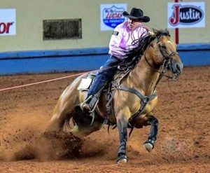 Looks Like A Ticket ‘Chester’, uma estrela em ascensão