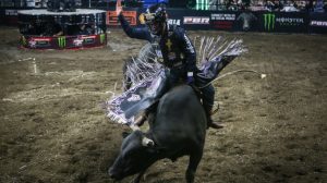 Daylon Swearingen vem se destacando na PBR e na PRCA