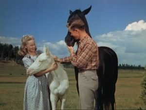 Green Grass of Wyoming – Os Prados Verdes