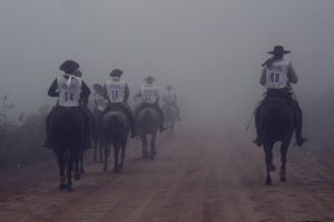 Marcha da Resistência do Cavalo Crioulo agora é interesse cultural