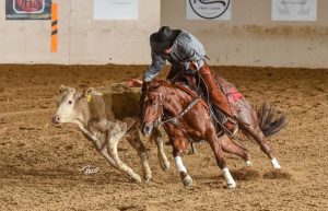 NRCHA cria prêmio para os cavalos da categoria Non Pro Limited