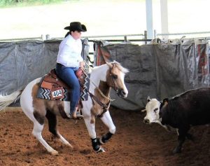 Jacs In Doubletrouble conquista Six PAC Champion da APHA