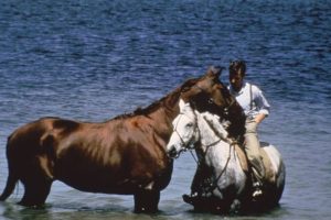 Thunderhead – Fúria Selvagem