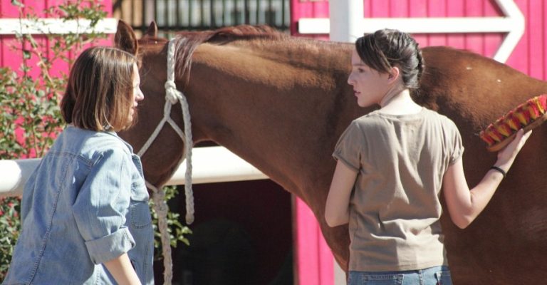 A Horse For Summer