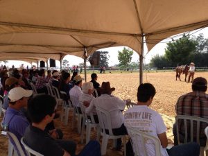 Um dia inteiro de muito conhecimento sobre cavalos na UC em Sorocaba