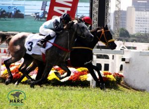 Inaugurada temporada de corridas de cavalos Árabes de 2019