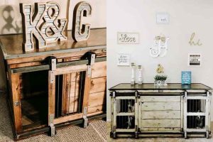 Peças de decoração que vão deixar seu cachorro em destaque