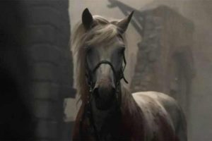 Um cavalo branco chamou atenção nas cenas finais de GOT
